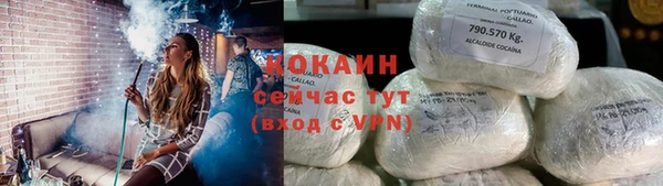 прущие грибы Няндома