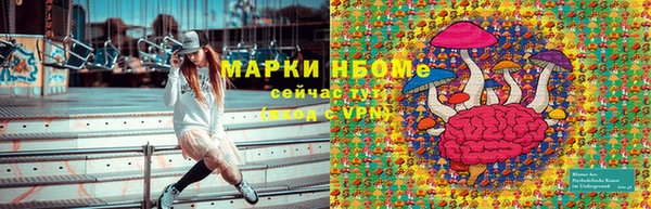 прущие грибы Няндома