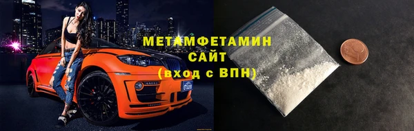 прущие грибы Няндома
