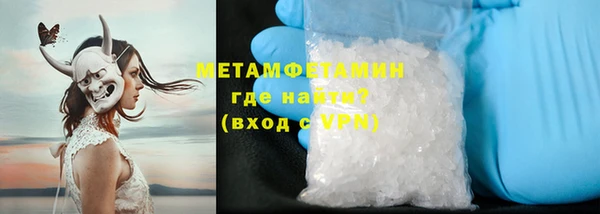 прущие грибы Няндома