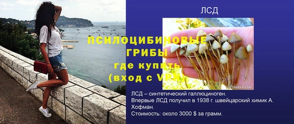 прущие грибы Няндома