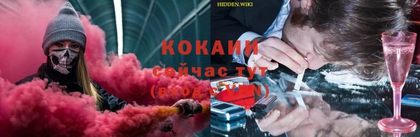 прущие грибы Няндома