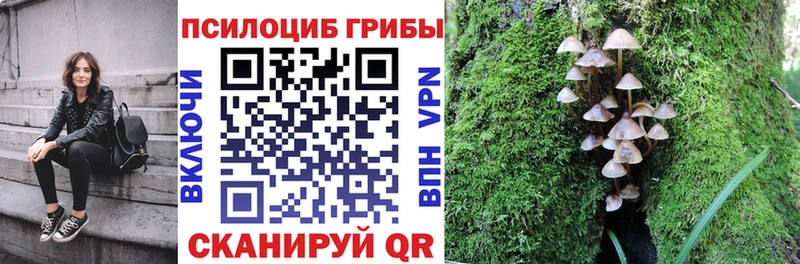 хочу   Бугуруслан  Псилоцибиновые грибы Psilocybine cubensis 