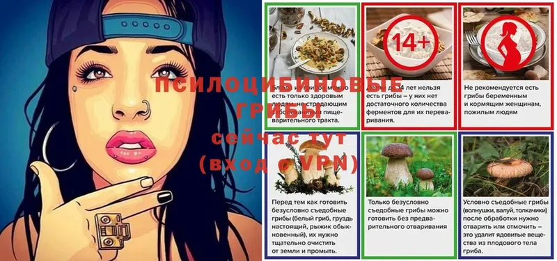 Псилоцибиновые грибы Cubensis Бугуруслан