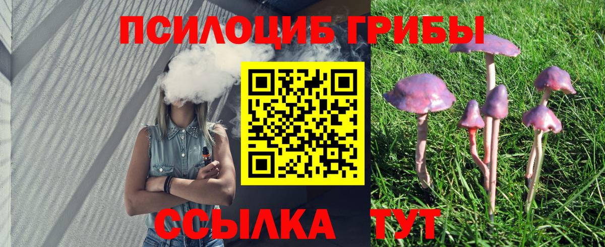 Псилоцибиновые грибы Cubensis Бугуруслан