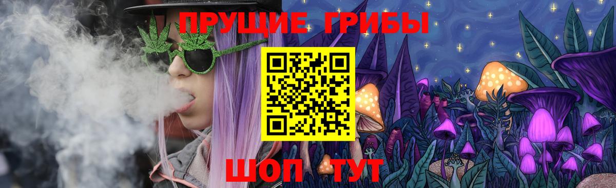 Галлюциногенные грибы GOLDEN TEACHER  Бугуруслан 