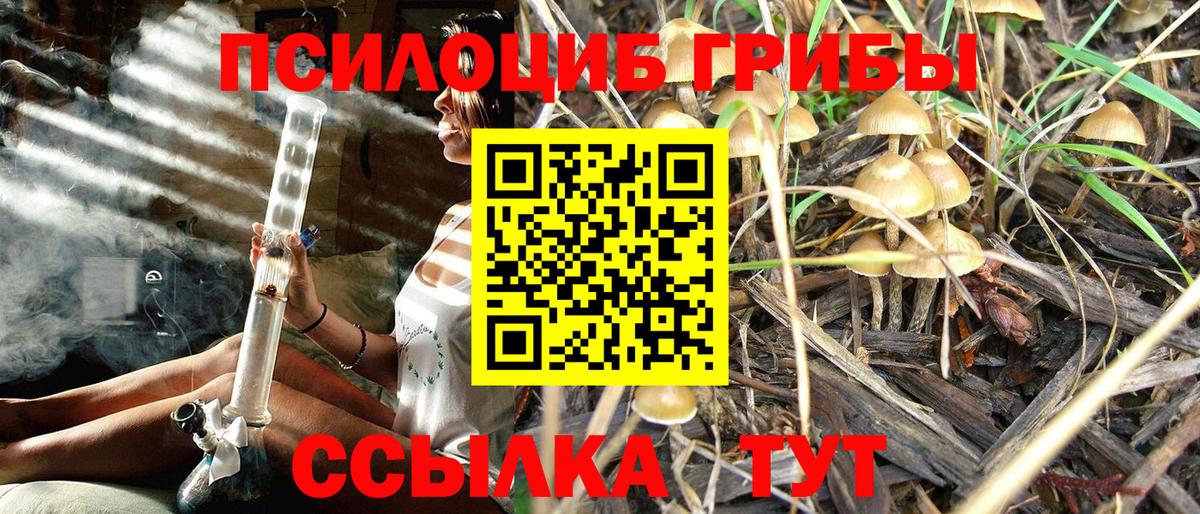 Псилоцибиновые грибы Magic Shrooms  Вход с VPN  сколько стоит  Бугуруслан 